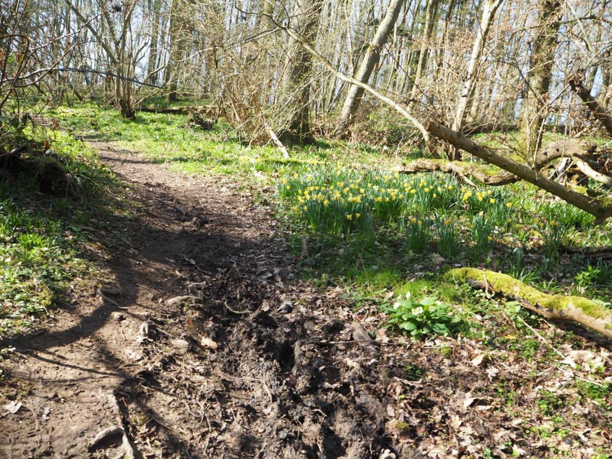 Appartamento Hayloft Pulborough Esterno foto
